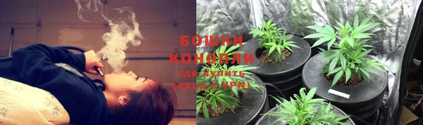индика Гусиноозёрск