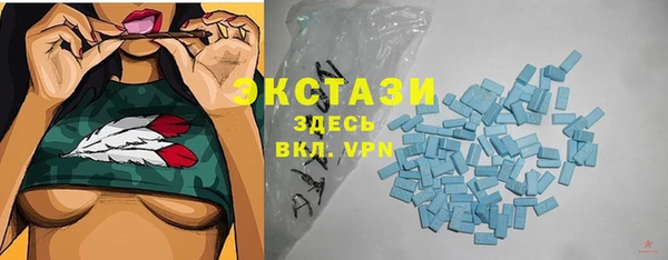 индика Гусиноозёрск