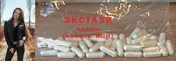 индика Гусиноозёрск