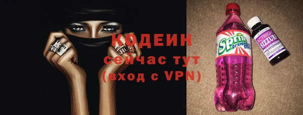 индика Гусиноозёрск