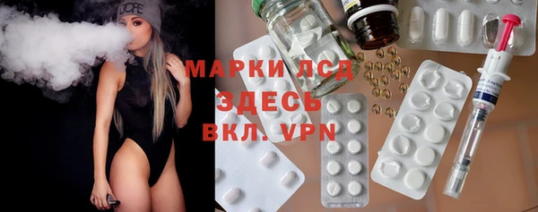 индика Гусиноозёрск
