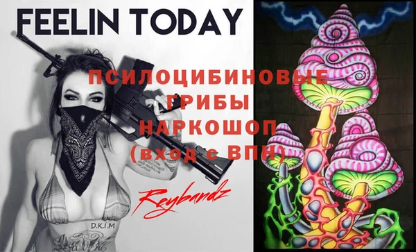 трава Гусев