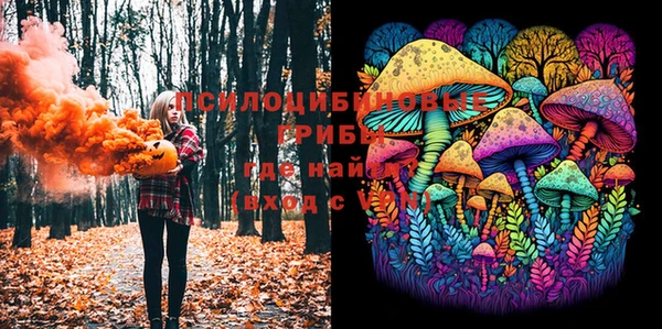 индика Гусиноозёрск