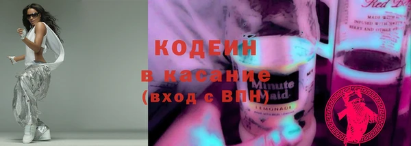 индика Гусиноозёрск
