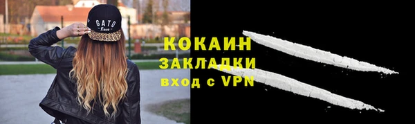 индика Гусиноозёрск