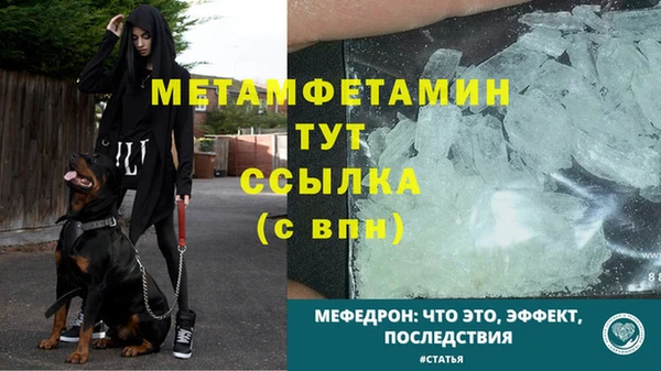 трава Гусев
