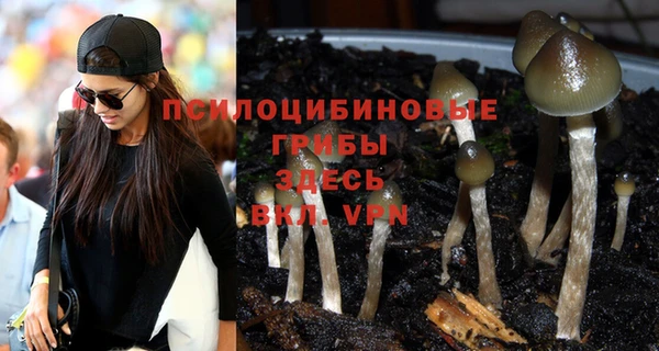 индика Гусиноозёрск