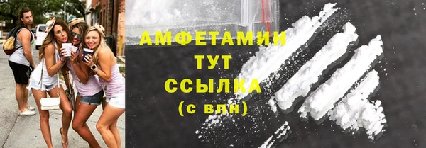 индика Гусиноозёрск