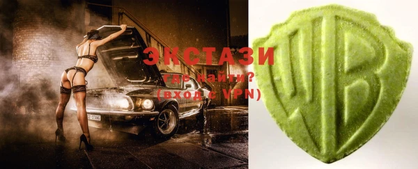индика Гусиноозёрск