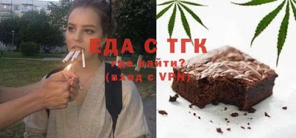индика Гусиноозёрск