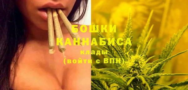 индика Гусиноозёрск
