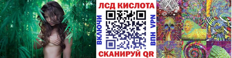 Купить  Егорьевск  Наркотические марки 1,8мг 