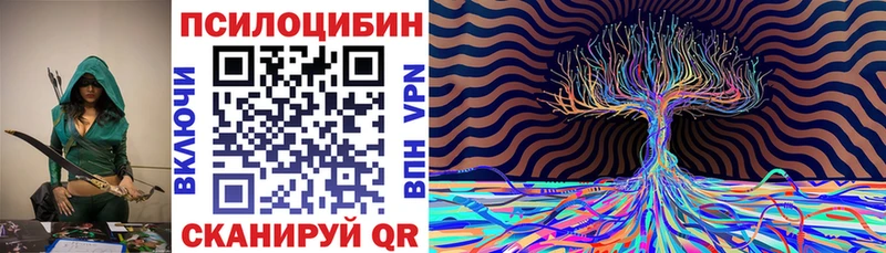 Купить где  Егорьевск  Галлюциногенные грибы Psilocybe 