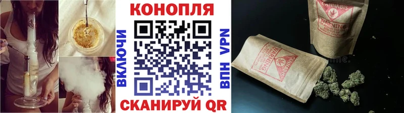 Купить закладки  Егорьевск  Конопля Amnesia 